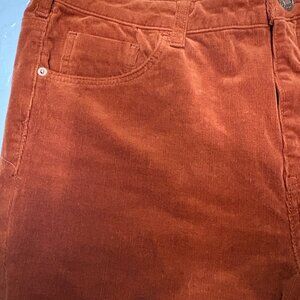 Anthropologie PILCRO HR Skinny Corduroy Brown Sz 34 Boho Preppy  Pants $168 NWT